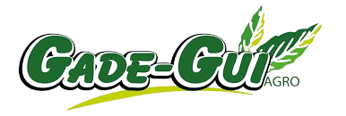 Gadegui
